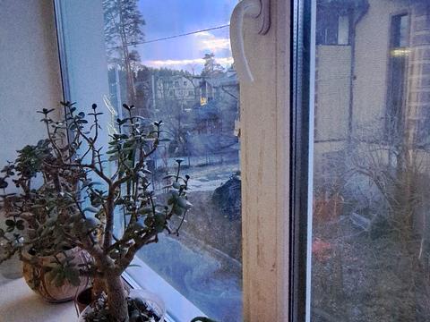 квартира за адресою Тищенка вул., 21