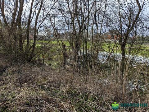 ділянка за адресою с. Клубівці, Лугова