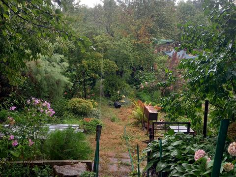 ділянка за адресою 19-та Садова вул.