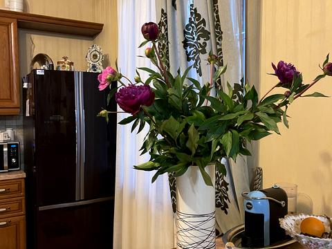 будинок за адресою 12-а Ентузіастів, 18