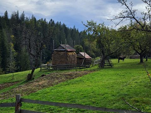 участок по адресу с. Микуличин, Данила Галицького