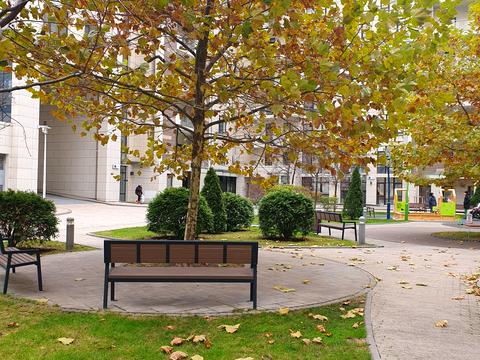 квартира за адресою Саперне Поле вул., 3