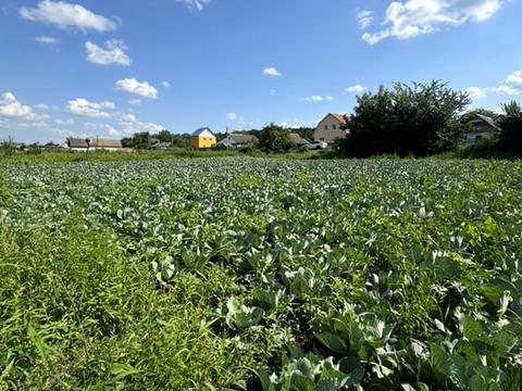 ділянка за адресою Зарічна, 34