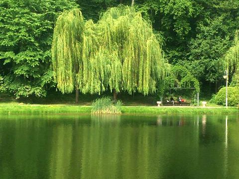 квартира за адресою Метрологічна вул., 148В