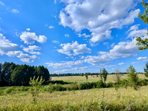 ділянка за адресою хрещата