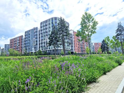 квартира по адресу Братьев Шеметов ул., 10/8