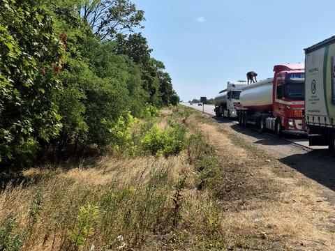 ділянка за адресою с. Богнатове, Траса М05 Києв-Одеса