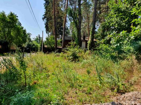 участок по адресу Лесная