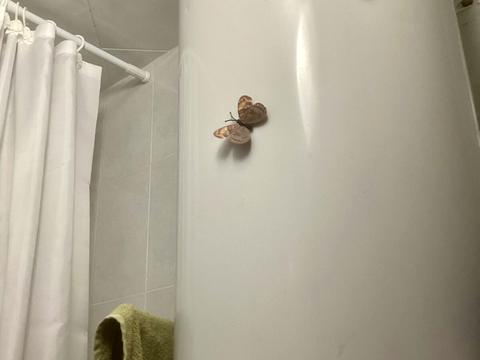 квартира за адресою Миколи Лаврухіна вул., 11