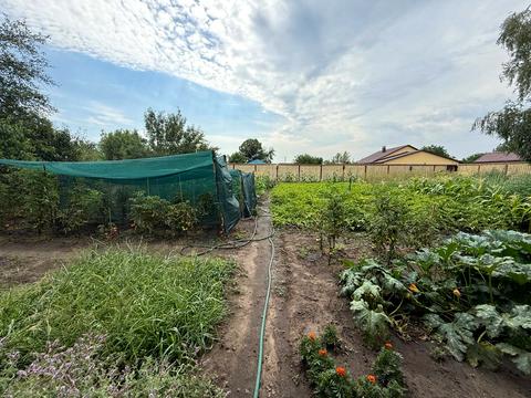 дом по адресу Соснова