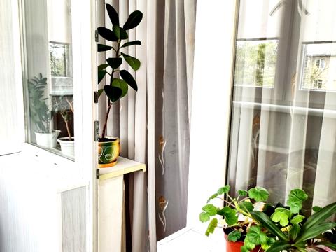 квартира по адресу Франтишека Крала ул., 31