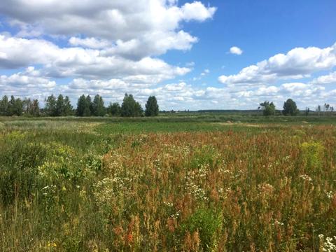 ділянка за адресою лісова