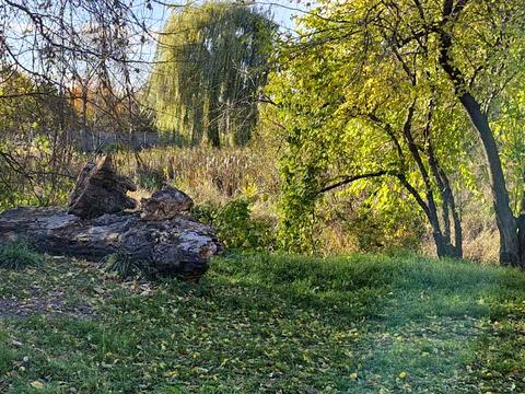 участок по адресу Киев, Українських Повстанців ул. (Героїв Війни), 31