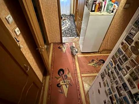 квартира по адресу Миру просп., 51
