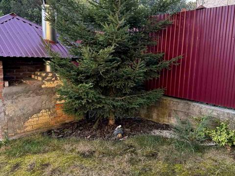 будинок за адресою с. Шаровечка, проїзд  2 Бурштиновий