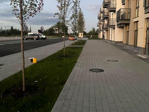 квартира за адресою Зелена, 3