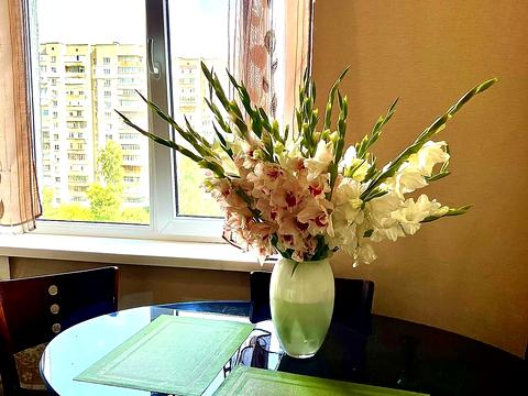 квартира по адресу Ковпака ул. (Ковпака), 54