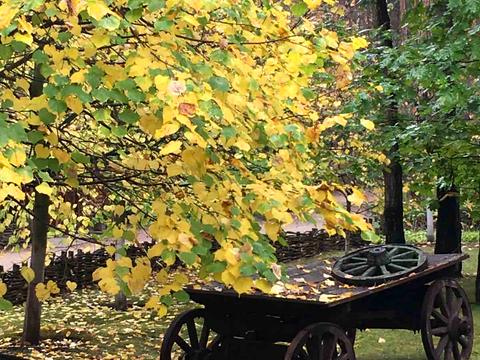 дом по адресу успеньська,  8