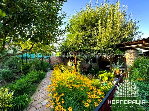 будинок за адресою Золота вул., 35