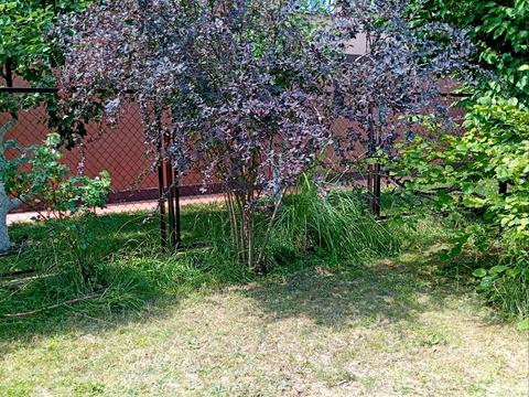 будинок за адресою Центральна вул. (Пролетарська), 79/80