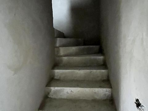 будинок за адресою Івана Багряного вул.