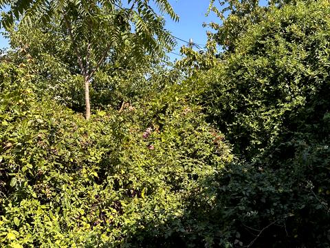 будинок за адресою Немировича Данченко, 3