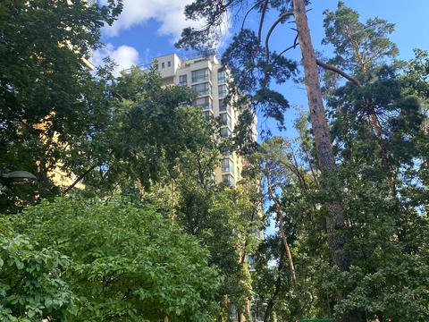 квартира за адресою Анатолія Петрицького вул., 17-А
