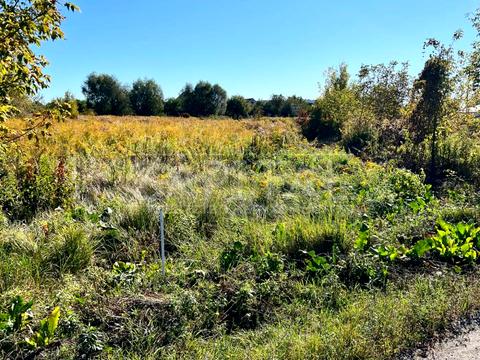 ділянка за адресою 