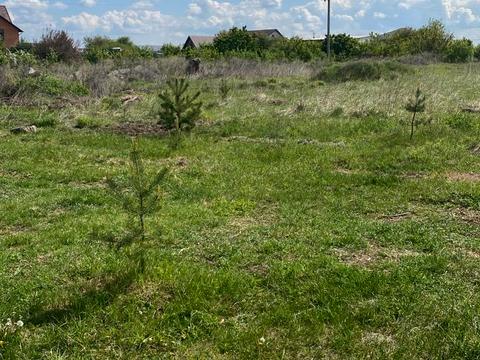участок по адресу Залізняка