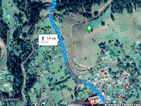 участок по адресу пгт. Верховина, вул. Невестюка