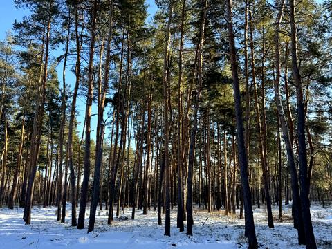 ділянка за адресою Зелена