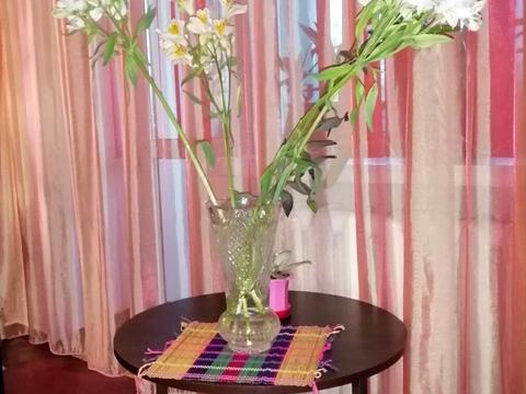 квартира за адресою Павла Скоропадського вул. (Адмірала Макарова), 2
