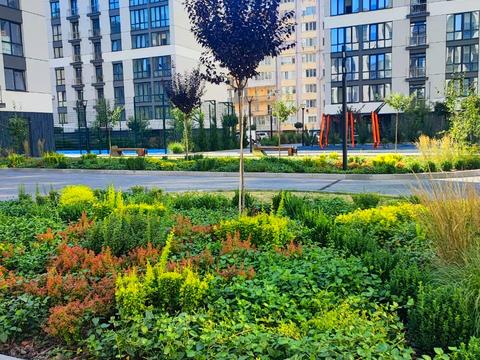 квартира за адресою Виноградна вул., 9