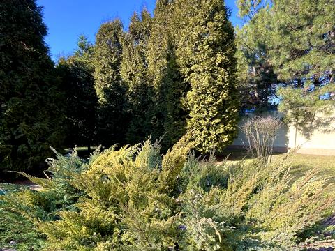 будинок за адресою Янтарная, 14