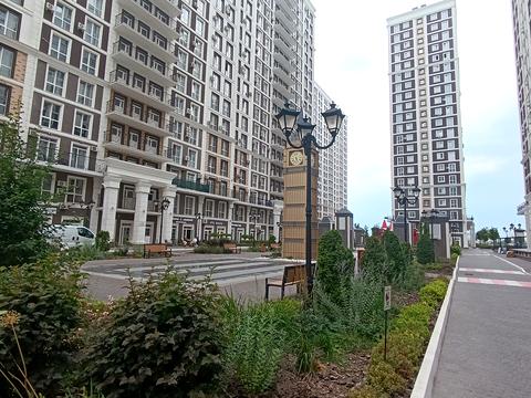 комерційна за адресою Михайла Максимовича вул. (Онуфрія Трутенка), 24