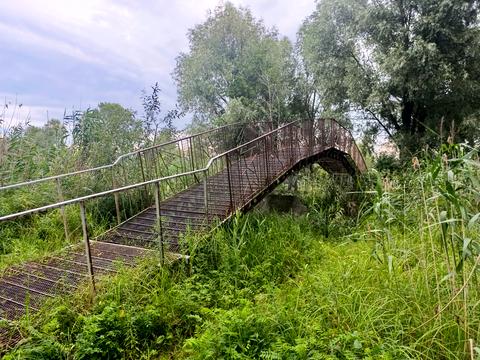 ділянка за адресою Колективна вул., 1