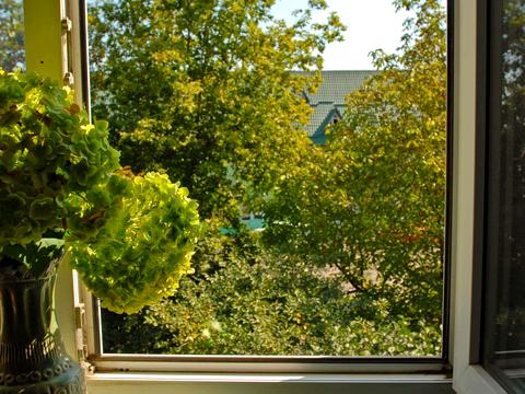 квартира за адресою Заводська вул., 18