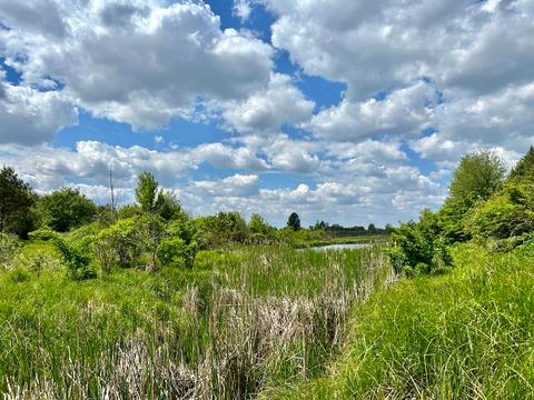 участок по адресу 