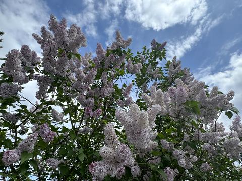 будинок за адресою Дніпровська вул. (Калініна), 18