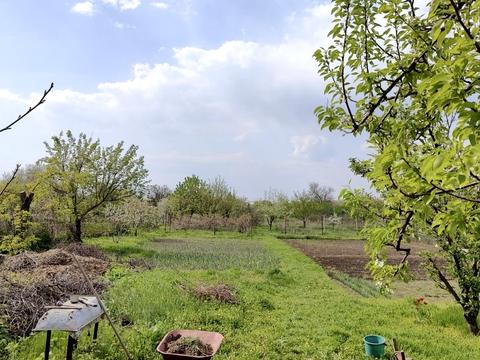 будинок за адресою Підгородне, Низова