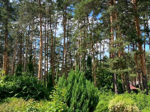 будинок за адресою 1 Травня вул.