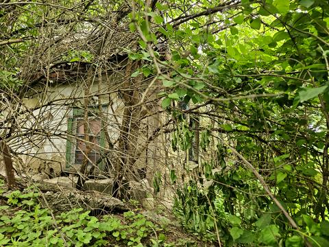 комерційна за адресою Київська, 44