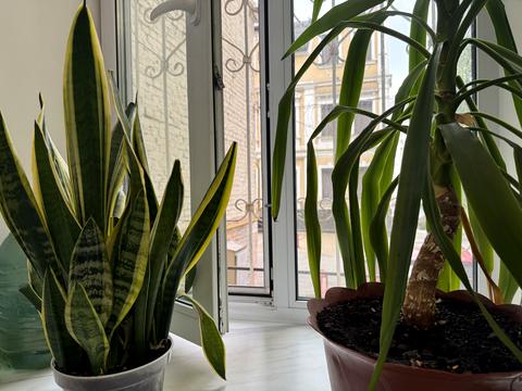 квартира за адресою Шота Руставелі вул., 33-Б