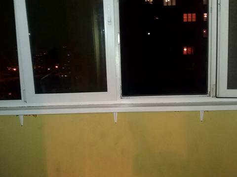 квартира за адресою Миколи Закревського вул., 95-Б