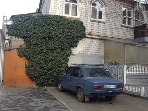 дом по адресу Мариупольская ул.