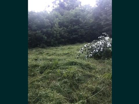 ділянка за адресою 