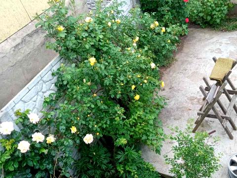 будинок за адресою Металургів вул.