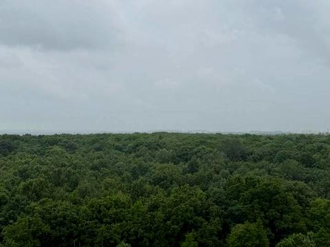 квартира по адресу Червоной Калины просп., 56