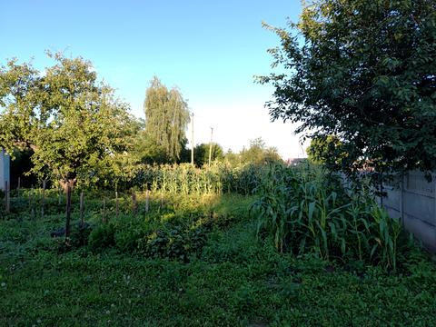 ділянка за адресою Київська вул., 1