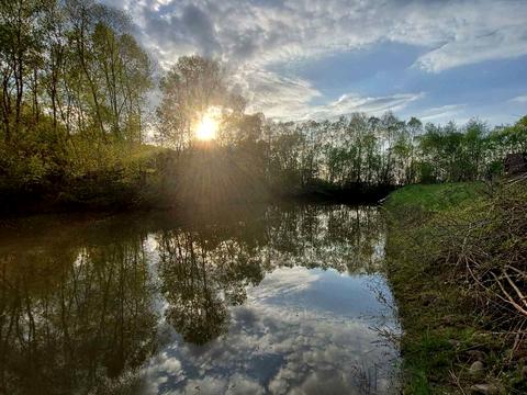 будинок за адресою Лесі Українки, 31